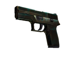 P250 | Verdigris (Battle-Scarred)