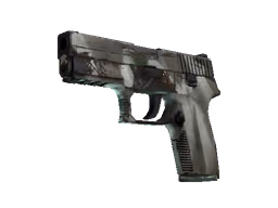 P250 | Bone Mask (Field-Tested)
