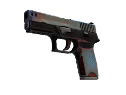 P250 | Cyber Shell (Well-Worn)